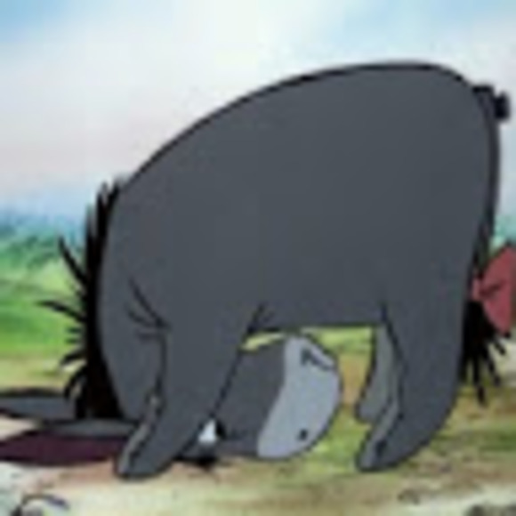 Meet your Posher, Anna - Picture 1 of 1